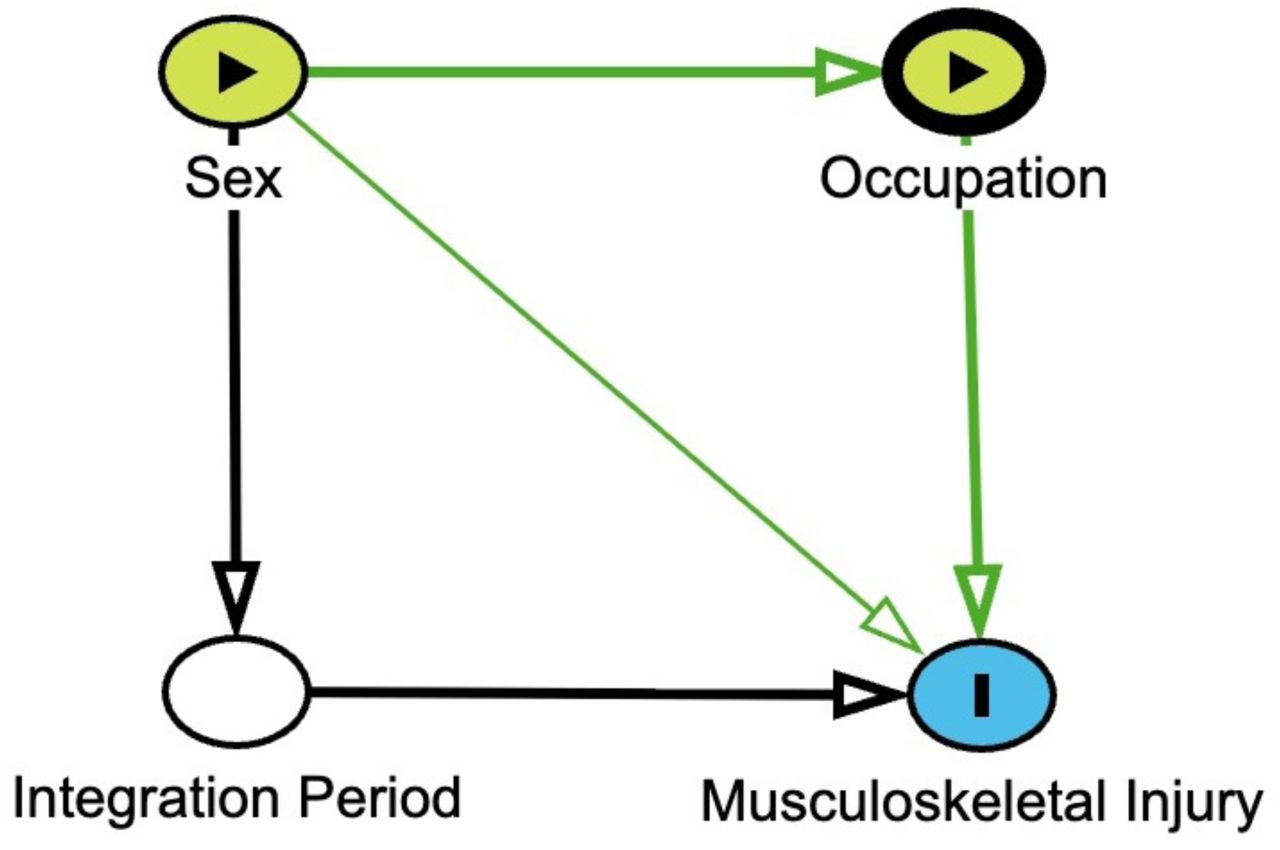 Direct acyclic graph detailing the effects of sex and occupation with moderation of integration period on musculoskeletal injury.