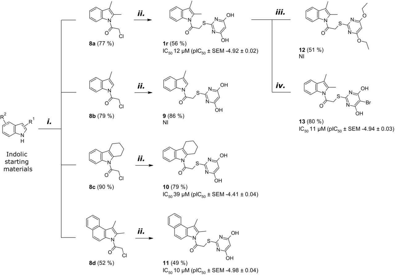 Reagents and conditions: (i) corresponding indole, toluene, reflux, then chloroacyl chloride, overnight (16–22 h); (ii) NaOH, H2O, 2-thiobarbituric acid, compounds 8a–8d, THF, 50–55 °C, ∼3 days; (iii) diethyl sulphate, K2CO3, Ar, 80 °C, 4 h; (iv) NBS, DMSO, rt, 2½ h.2.4.