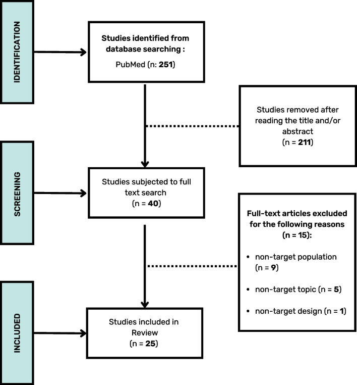PRISMA flowchart