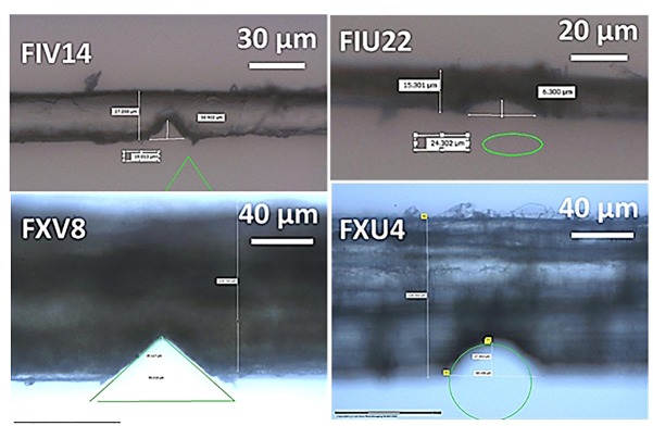 Optical images illustrating four tested hemp fibers: (left top) V-notched elementary, (left bottom) V-notched bundle, (right top) U-notched elementary, and (right bottom) U-notched bundle. Notching is achieved using laser micro-dissection and the geometrical shape (triangle or ellipse) expected are superimposed on the micrograph in green.
