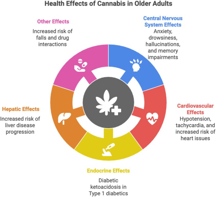 Common health effects of cannabis in older adults [3]. Figure developed with the use of the generative artificial intelligence platform, Napkin AI (https://www.napkin.ai/).