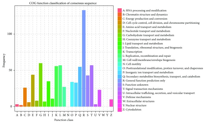Clusters of orthologous group (COG) classification of differentially expressed genes (DEGs) in drought-stressed hemp.