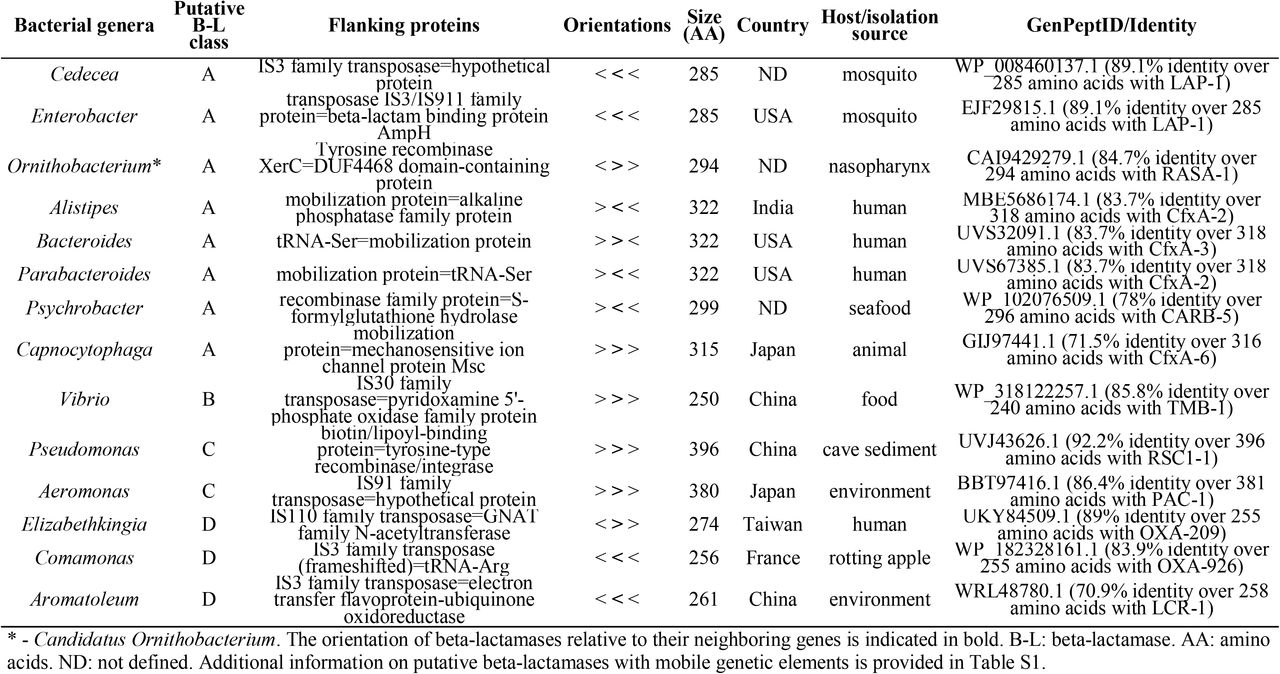 Genetic neighborhood of selected putative beta-lactamases with mobile genetic elements.