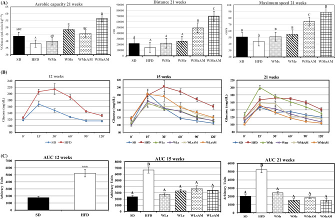 Effects of DIO and weight control interventions on aerobic capacity and glucose metabolism. (A) maximal oxygen consumption, maximum speed, and distance run during an incremental test were measured as markers of long term effects after 21 weeks of the experimental period, (B,C) glycemic profile and area under the curve after an oral glucose overload measured at 12, 15 or 21 weeks of the experimental period. Results are means of eight rats ± SEM depicted by vertical bars. *P < 0.05 in t-test (12 weeks); A,B,C means with different letters are significantly different (ANOVA treatment, P < 0.05; 15 and 21 weeks). AUC area under the curve (arbitrary units), SD normocaloric standard diet group, HFD HFD-treated group. Weight-loss interventions (WL) on weeks 13–15: WLs obese rats treated with caloric restriction and no exercise, WLe obese rats treated with caloric restriction in combination with physical exercise, WLsAM obese rats treated with caloric restriction in combination with AM251 administration and no exercise, WLeAM obese rats treated with caloric restriction in combination with physical exercise and AM251 administration. Weight-maintenance interventions (WM) on weeks 16–21: WMs rats treated with diet SD and no exercise, WMe rats treated with diet SD in combination with physical exercise, WMsAM rats treated with diet SD in combination with AM251 administration and no exercise, WMeAM rats treated with diet SD in combination with physical exercise and AM251 administration.