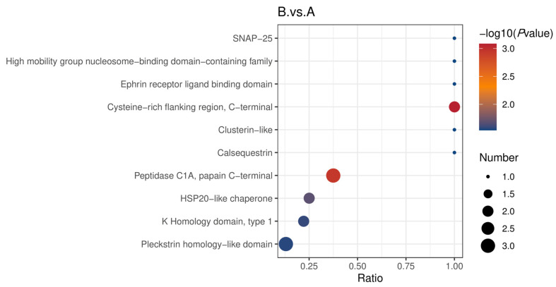 Enrichment bubble diagram of structural domains of the different comparison groups. The horizontal coordinate in the graph is the ratio of the number of differential proteins in the corresponding structural domain to the total number of proteins identified in that structural domain. The larger the value, the higher the enrichment of differential proteins in that structural domain and vice versa. The color of the dots represents the −log10 (p value) of the hypergeometric test. The redder the color, the larger the −log10 (p value), while the smaller the pvalue, the larger the reliability of the test and the more statistically significant it is. The size of the dots represents the number of differential proteins in the corresponding structural domains, the larger the dots. The higher the number of differential proteins in that structural domain.