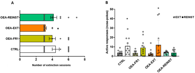 (A) Extinction. According to OEA treatment (10 mg/kg i.p): CTRL (n = 11, control group), OEA-FR1 (n = 11, 10 doses before each alcohol SA session), OEA-EXT (n = 12, 4–6 doses before each extinction session) and OEA-REINST (n = 12, a single dose before the cue-induced reinstatement test). The bars represent the total value (±S.E.M) of the number of sessions required for alcohol drug-seeking to be extinguished. * p < 0.05 significant difference with respect to the OEA-EXT group, according to the Kaplan–Meier test. (B) Effects of OEA treatment on cue-induced reinstatement of alcohol-seeking. Mean active nose pokes responses during the last three extinction sessions (represented by the cross hatched bars) and on the cue-induced reinstatement test. The columns represent means and the vertical lines ±SEM of active nose poke responses. * p < 0.05, significant difference with respect to EXT, according to the two-way ANOVA followed by Bonferroni’s post hoc test.