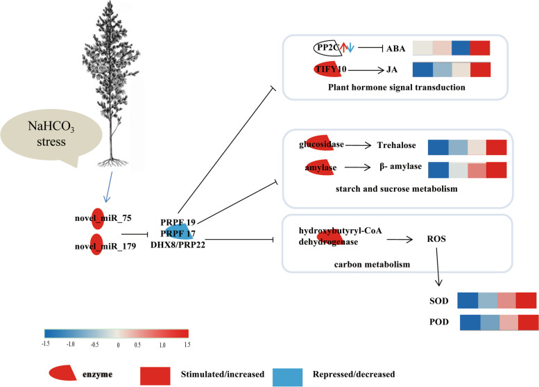 Important pathways in the response to NaHCO3 stress in industrial hemp