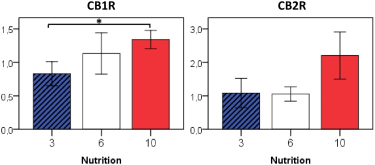 Relative gene expression of eCB receptors in the hypothalamic arcuate nucleus at P50 in relation to early postnatal nutrition.n = 4–5 males per nutrition group, * p<0.05 (ANOVA).