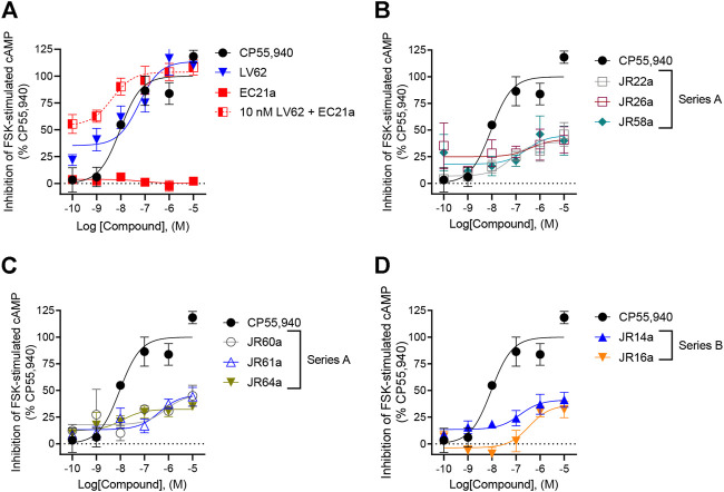 Evaluation of hCB2R-dependent inhibition of FSK-stimulated cAMP. CHO cells stably-expressing hCB2R were treated with 0.10 nM—10 μM compounds and 10 µM FSK for 90 min and cAMP inhibition was measured. (A) Parent compounds used for the design of the JR derivatives; (B,C) compounds of series A; (D) compounds of series B. CP55,940 data are the same in all four panels and presented for reference. Data are expressed as % CP55,940 response. Data were fitted to a non-linear regression (3 parameter model, GraphPad v. 9.0). Data are mean ± S.E.M. of six independent experiments performed in triplicate.