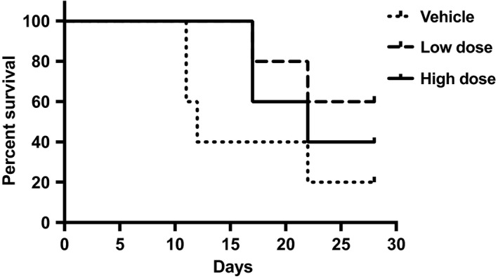 Ajulemic acid increases survival time in an inverse dose‐response relationship in a mouse glioma model (Recht L and Salmonsen R, unpublished). High dose, 10 mg/kg; low dose, 0.1 mg/kg. AJA administration began 1 day after U87MG cell inoculation into the right flank of SCID‐NOD mice. N = 5/group. Calculated using Prism and the method of Kaplan and Meier. AJA, ajulemic acid