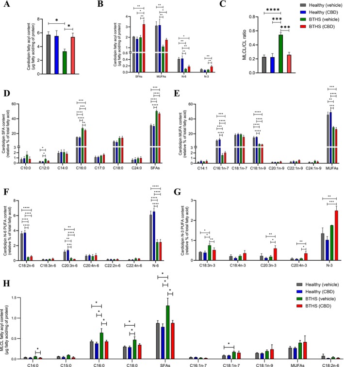 CBD restores total cardiolipin content, and MLCL/CL ratio in BTHS B‐lymphoblastoids. Total cardiolipin concentrations (A), cardiolipin fatty acyl concentrations by major categories (B), MLCL/CL ratio (C), relative contents of SFA, MUFA, N‐6 PUFA, and N‐3 PUFA within cardiolipin (D–G), and the MLCL fatty acyl profile (H) were measured in BTHS and healthy B‐lymphoblastoids treated with vehicle or 1 μM CBD. Data are presented as means ± S.E.M; n = 5. *p < 0.05, **p < 0.01, ***p < 0.001, ****p < 0.0001.