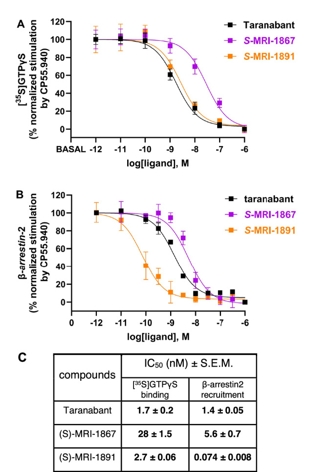 Signaling properties of CB1R inhibitors.A Inhibition of CB1R agonist(CP55,940)-induced [35S]GTPγS binding in hCB1R-CHO-K1 cell membranes (Revvity, ES-110-M400UA). Taranabant curves are black, (S)-MRI-1867 curves are purple, and (S)-MRI-1891 curves are orange. Values represent mean ± s.e.m from n = 4 independent experiments, each done in triplicate. Source data are provided with this manuscript as Source Data file. B Inhibition of CB1R agonist(CP55,940)-induced β-arrestin-2 recruitment in PathHunter eXpress CNR1 CHO-K1 β-arrestin-2 assay (DiscoverX, 93 − 0959E2CP0M). Taranabant curves are black, (S)-MRI-1867 curves are purple, and (S)-MRI-1891 curves are orange. For (S)-MRI-1867, values represent mean ± s.e.m from n = 4 independent experiments, each done in triplicate. For taranabant and (S)-MRI-1891, values represent mean ± s.e.m from n = 3 independent experiments, each done in triplicate. Source data are provided with this manuscript as Source Data file. C Inhibitory concentration (IC50) of cannabinoid receptor antagonists, derived from A and B. Data are expressed as a percentage of mean specific binding ± s.e.m.