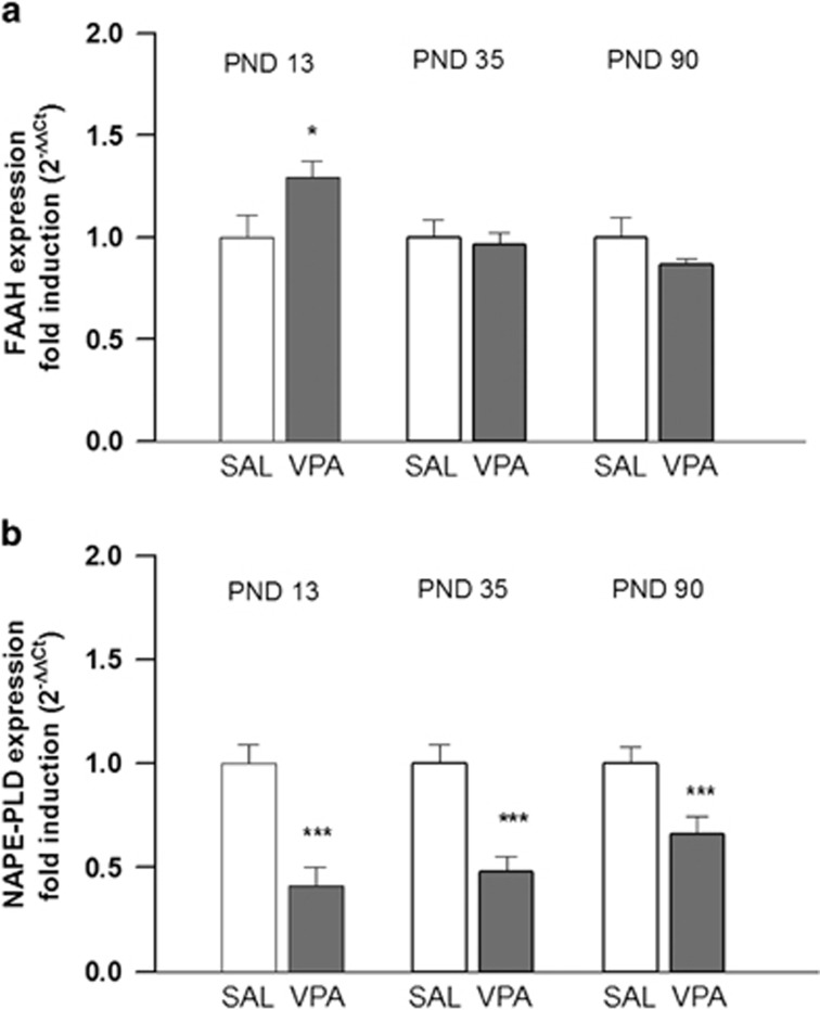 FAAH and NAPE-PLD expression. Fold induction of FAAH (a) and NAPE-PLD (b) expression in the brain of VPA- and SAL-exposed offspring, evaluated at PNDs 13 (n (SAL)=3, n (VPA)=3), 35 (n (SAL)=3, n (VPA)=3) and 90 (n (SAL)=3, n (VPA)=3). Data represent mean±s.d.; *P<0.05; ***P<0.001 (Student's t-test). FAAH, fatty acid amide hydrolase; NAPE-PLD, N-acylphosphatidylethanolamines-phospholipid D; PND, postnatal day; SAL, saline; VPA, valproic acid.