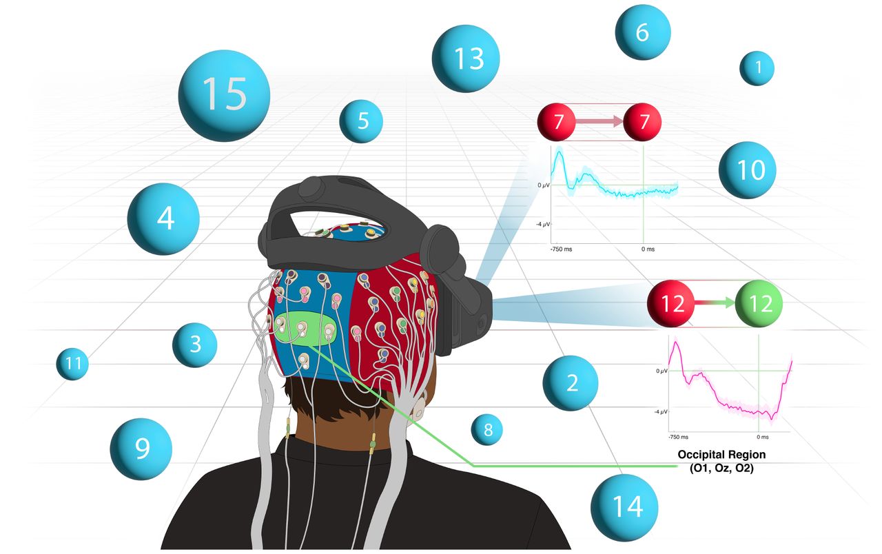 An illustration of our approach to address the Midas touch issue in gaze selections for immersive environments. When the user merely observes target 7, no Stimulus-Preceding Negativity (SPN) is evident from the occipital region’s electroencephalogram activity. When intending to select target 12 and expecting a selection feedback, an SPN is evoked, serving as an implicit selection trigger.