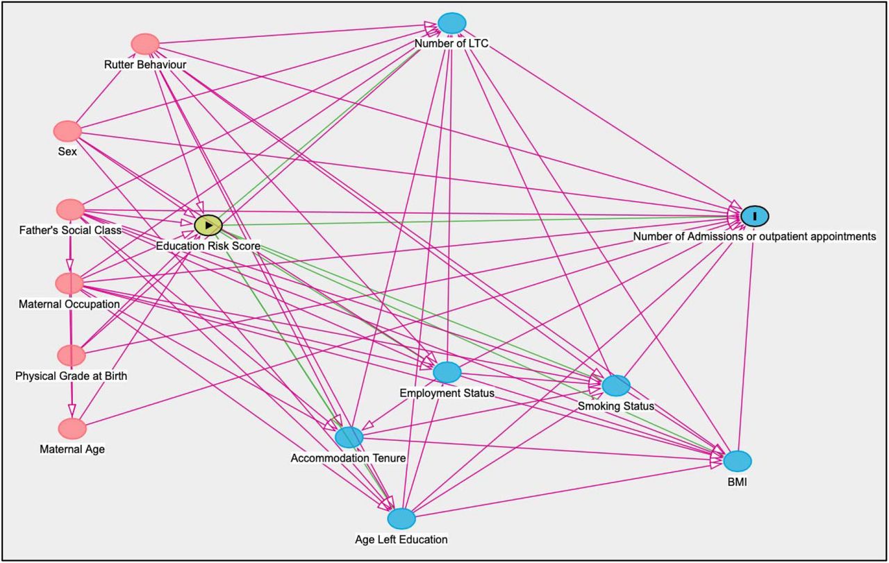 A DAG of the relationship between childhood education and academic ability and hospital appointments and admissions in adulthood.