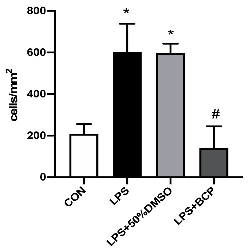 Leukocyte adhesion in submucosal bladder venules of female BALB/c mice for the following experimental groups: control (CON; n = 6), LPS-induced IC (LPS; n = 5), LPS-induced IC treated with 50% DMSO (LPS + 50% DMSO; n = 5), and LPS-induced IC treated with BCP (100 mg/kg, LPS + BCP; n = 6). Saline, LPS, DMSO, and BCP were all administered via intravesical instillation. Data presented as mean ± SD. * p < 0.05 vs. CON. # p < 0.05 vs. LPS.