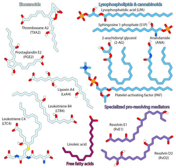 Two-dimensional structures of a few representative examples of endogenous lipid mediators (LMs), belonging to the different classes involved in diverse signaling pathways.
