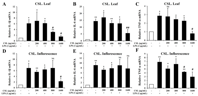 Effects of Cannabis sativa L. (CSL) leaf and inflorescence extracts on mRNA expression levels of IL-1β, IL-6, and TNF-α in LPS-stimulated BV2 microglial cells. The mRNA levels of IL-1β, IL-6, and TNF-α were suppressed in a concentration-dependent manner by the CSL leaf extract. This suppression was particularly effective at a concentration of 1600 µg/mL (A–C). Similarly, the CSL inflorescence extract also suppressed the mRNA levels of IL-1β and TNF-α, especially at a concentration of 1600 µg/mL (D–F). Results are representative of three independent experiments. *, compared with the saline treatment alone; #, compared with the LPS treatment alone. */#, p < 0.05; **/##, p < 0.01, NS; not significant.