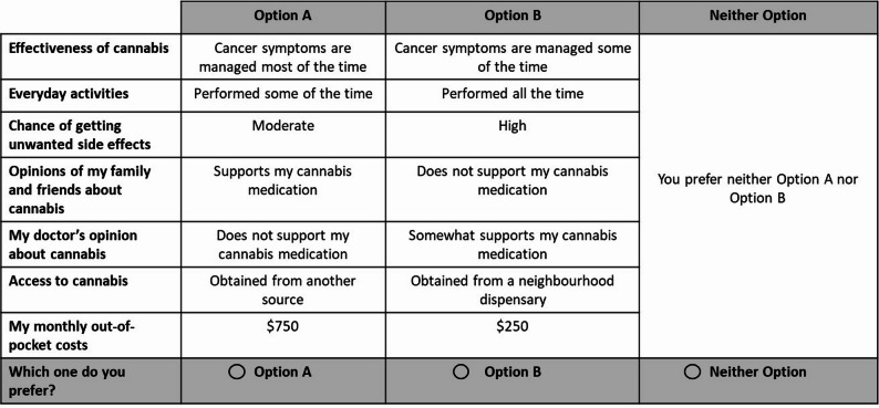 Example of choice task