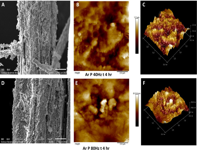 Scanning electron micrographs (×2000) and AFM (10 μm × 10 μm) scans of argon plasma-treated hemp fibers for a duration of four h at 80 and 40 Hz power [A–C: SEM and AFM micrographs of fibers argon plasma-treated for 4 h at 40 Hz power with their 3D projection and D–F: SEM and AFM micrographs of fibers argon plasma-treated for 4 h at 80 Hz power with their 3D projection].