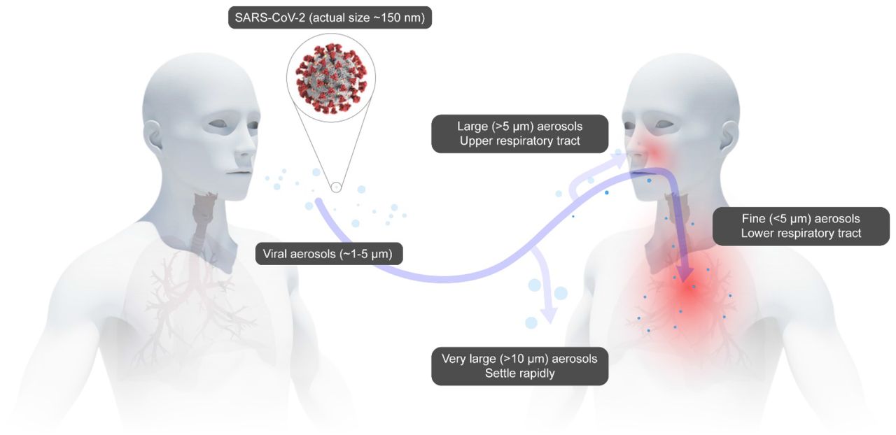 Transmission of SARS-CoV-2 through viral aerosols. Image of SARS-CoV-2 courtesy of the CDC.