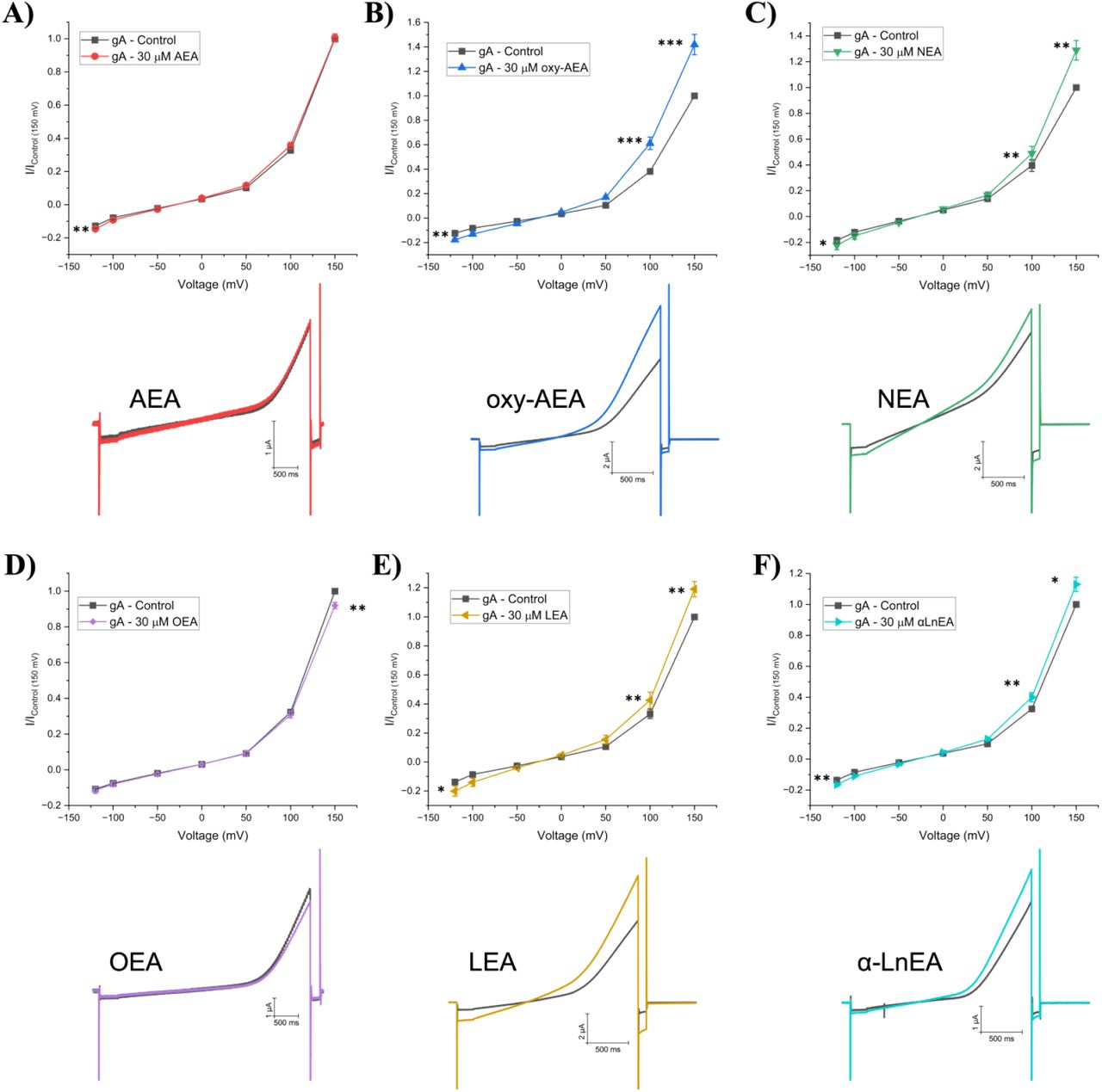 Fatty acid Ethanolamides (FAEs) effect on gramicidin currents (gA).(A-F) (top) Averaged cationic gramicidin currents before and after treatment with AEA, oxy-AEA, NEA, OEA, LEA or αLnEA respectively. Test currents were averaged at -120 mV, -100 mV, -50 mV, 0 mV, +50 mV, +100 mV, and +150 mV. (below) Representative gA current traces before and after treatment with AEA, oxy-AEA, NEA, OEA, LEA or αLnEA. Paired student t-test was used to determine I/Imax differences at -120, +100 and +150 mV (n > 6 < 12; * = P < 0.05, ** = P < 0.01, *** = P < 0.001)