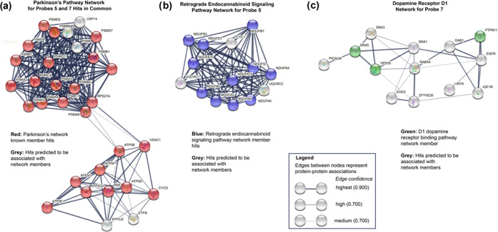 Protein networks identified by bioinformatic analysis. (a) Both probes 5 and 7 hit multiple genes in Parkinson’s disease network according to STRING and KEGG analyses. (b) Probe 5 (ropinirole-based) hit many genes in the retrograde endocannabinoid signaling pathway according to STRING and KEGG analyses. (c) Probe 7 (pramipexole-based) hit genes in the dopamine receptor D1 (DRD1) signaling network according to STRING and gene ontology analyses.