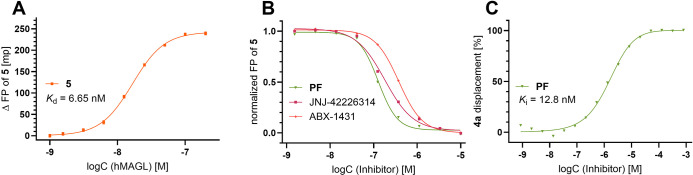 Cell-free fluorescence polarization (FP) and cellular nanoBRET competition assays using the reversible noncovalent fluorescent probes 5 and 4a as tracers. (A) Fluorescence polarization dose–response titration of reversible probe 5 (20 nM) with purified hMAGL. (B) Three MAGL-specific inhibitors were assessed in a competitive FP assay with 5 (20 nM) and hMAGL (50 nM). (C) Competition nanoBRET assay in live HEK293 cells expressing MAGL-Nluc fusion protein and reversible probe 4a (100 nM). All experiments were performed at least in triplicate. Mean values are shown.