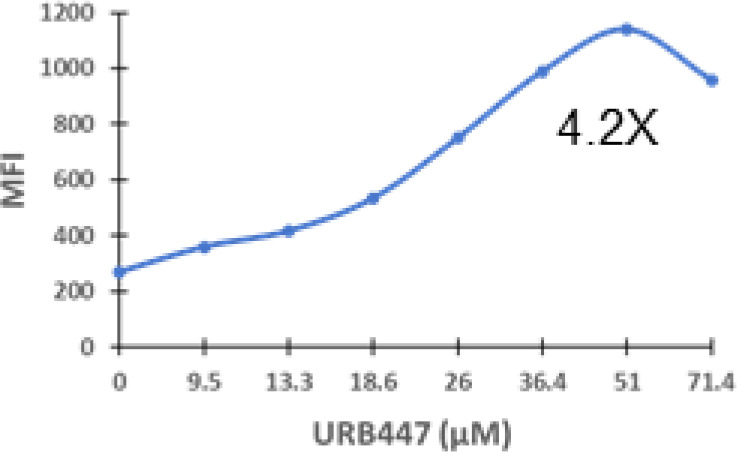 fimmu-13-982082-i034.jpg