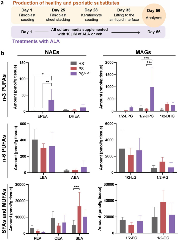 Biosynthesis of NAEs and MAGs in healthy and psoriatic skin substitutes after ALA treatment. (a) Schematic overview of skin substitute reconstruction according to the self-assembly method treated with either 10 μM ALA or the vehicle. (b) Amount of NAEs and MAGs in HS−, PS− and PS produced with culture media supplemented with 10 μM ALA (PSALA+), as determined by LC–MS/MS. Statistical significance was determined using two-way ANOVA followed by Tukey’s post-hoc test. *p < 0.05; **p < 0.01; ***p < 0.001; ****p < 0.0001. AEA N-arachidoyl-ethanolamine, AG arachidonoyl-glycerol, ALA α-linolenic acid, DHEA N-docosahexaenoyl-ethanolamine, DHG docosahexaenoyl-glycerol, DPEA N-docosapentaenoyl-ethanolamine, DPG docosapentaenoyl-glycerol, EPEA N-eicosapentaenoyl-ethanolamine, EPG eicosapentaenoyl-glycerol, HS skin substitute, LEA N-linoleoyl-ethanolamine, LG linoleoyl-glycerol, ND not detected, OEA N-oleoyl-ethanolamine, OG oleoyl-glycerol, PEA N-palmitoyl-ethanolamine, PG palmitoyl-glycerol, PS psoriatic substitute, SEA N-stearoyl-ethanolamine, veh vehicule.