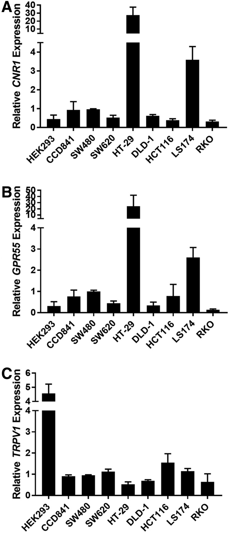 Cannabinoid receptors are expressed in CRC cell lines. RT-qPCR was performed to measure the levels of mRNA for each cannabinoid receptor in the seven CRC cell lines, and the control HEK 293 and CCD 814 CoTr cells (A) CNR1, (B) GPR55, and (C) TRPV1. Data are relative to GAPDH mRNA levels and are normalized to the expression in SW480 cells. As noted in the text, CNR2 RT-qPCR failed to produce reliable amplification curves (due to low or absent mRNA levels). Error bars are SEM. In general, HT-29 and LS174 cells expressed significantly higher levels of CNR1 and GPR55 mRNA (p≤0.05). CRC, colorectal cancer; mRNA, messenger RNA; RT-qPCR, reverse transcribed-quantitative polymerase chain reaction; SEM, standard error of the mean.