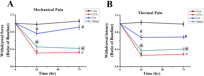 Comparative graphs of mechanical and thermal pain behaviors at baseline 24 h, and 72 h.CFA was injected at the hind paw and nociceptive withdrawal force or latency was measured ipsilaterally. EA was applied at baseline, 24 h, and 72 h under 1% isoflurane anesthetization. (A) Mechanical and (B) thermal pain sensitivities are shown as ratios, compared with baseline for each group (n = 9). * p < .05 for means when compared with control group. p < .05 for means when compared with CFA group. @ p < .05 for means when compared with EA group.