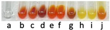 molecules-31-00796-i012.jpg