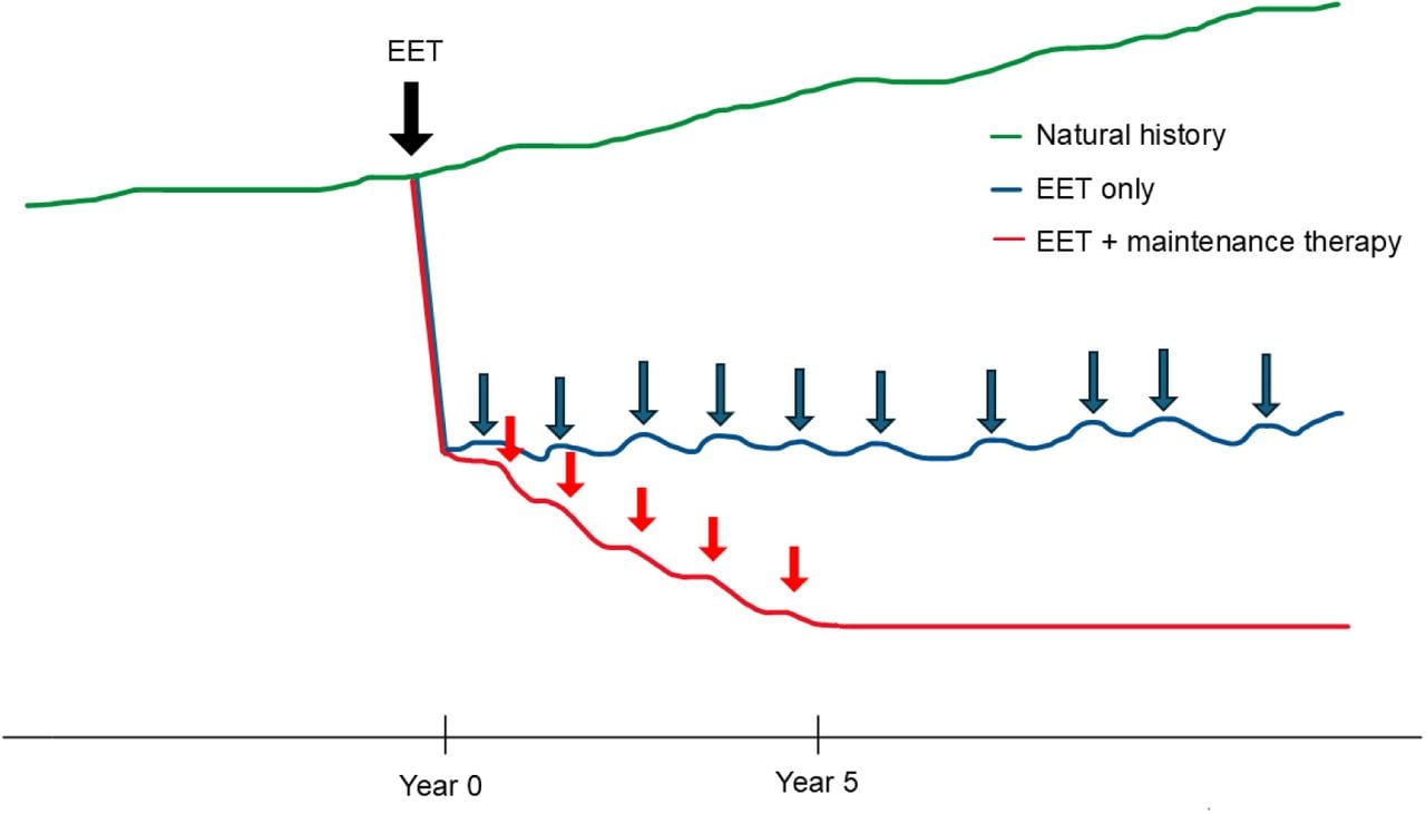 Conceptual model of EAC risk trajectories under three scenarios. Natural history shows a gradual increase in risk over time. “EET only” represents initial endoscopic eradication therapy (EET) at Year 0 followed by annual endoscopy; if EAC is detected during surveillance, treatment is provided at that time. “EET + maintenance therapy” represents initial EET followed by periodic therapeutic interventions over approximately 5 years, even in the absence of visible lesions, resulting in sustained suppression of risk.
