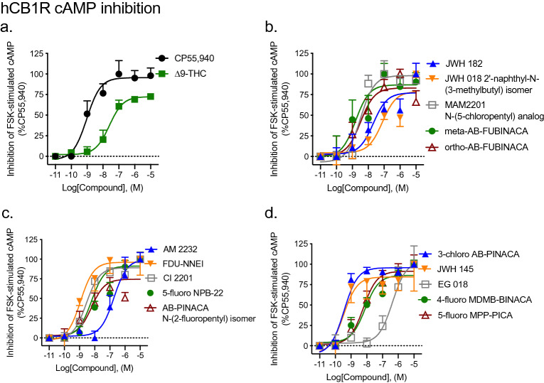 CB1R-dependent inhibition of FSK-stimulated cAMP following SCRA treatment. CHO cells stably-expressing hCB1R were treated with 10 µM FSK and 0.10 nM–10 μM SCRA for 90 min and inhibition of cAMP was measured. cAMP inhibition data are expressed as % CP55,940 response. Data were fit to a nonlinear regression (four parameter model, GraphPad v. 8) for statistics in Table 1; or fit to the operational model to calculate bias (Fig. 5). Data are mean ± S.E.M. n ≥ 6 independent experiments performed in triplicate.