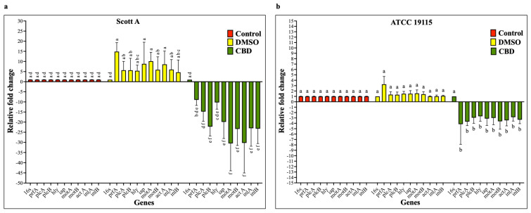 (a) Effect of cannabidiol on the transcription of major virulence genes of L. monocytogenes Scott A. (b) Effect of cannabidiol on the transcription of major virulence genes of L. monocytogenes ATCC 19115. Gene expression analysis was performed by RT-qPCR on bacterial cultures grown for 24 h in the presence or absence of CBD at SIC, with relative expression levels calculated using the comparative Ct (ΔΔCt) method and normalized to 16S rRNA as the endogenous control. Bars represent the mean relative fold change ± SD (n = 4). Different superscript letters indicate significant differences across treatments compared to the control (p < 0.05). Abbreviations: CBD, cannabidiol; DMSO, dimethyl sulfoxide; SIC, sub-inhibitory concentration.