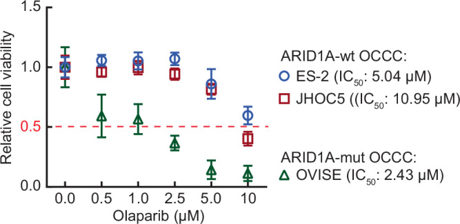 ARID1A-mut OCCC cells are more sensitive to PARPi than ARID1A-wt OCCC cells.Cell viability assays using ES-2, JHOC5 and OVISE cells treated with vehicle (0), 0.5, 1, 2.5, 5, or 10 µM Olaparib. Data were shown as mean ± SD (n = 3). The half-maximal inhibitory concentration (IC50) of Olaparib for each cell line is indicated. Source data are available online for this figure.