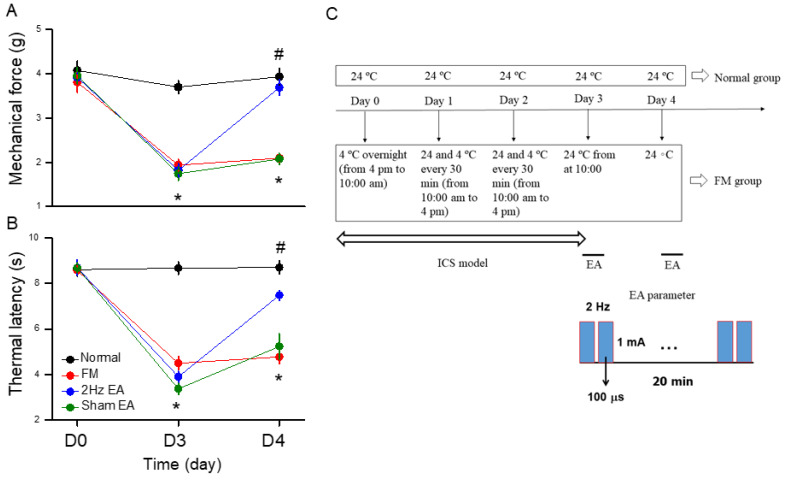 Mechanical and thermal hypersensitivity of mice in all groups. (A) The mechanical threshold obtained in the von Frey filament test; (B) thermal latency in the Hargreaves’ test. (C) Illustration of ICS modeling and EA treatment. * Significant difference in comparison to the normal group. # Significant difference from the FM group. n = 9 per group.