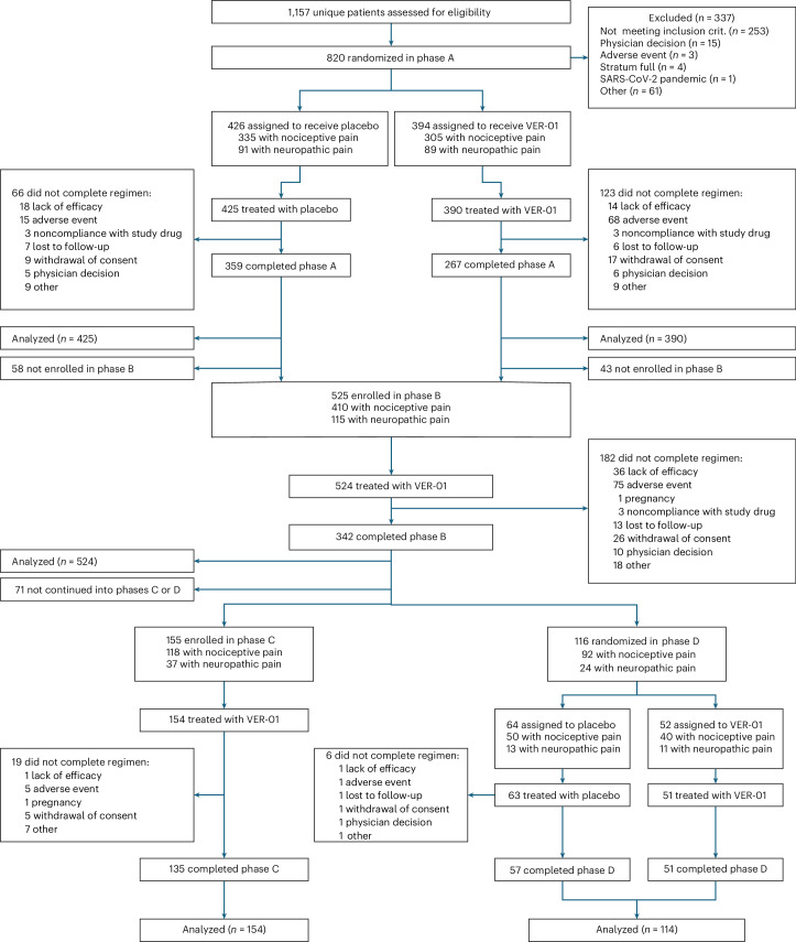CONSORT chart of the trial.The efficacy, safety and tolerability analyses included all randomized participants who received at least one dose of the study medication during the respective study phase.