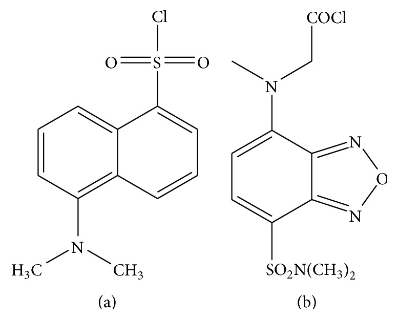Structures of common derivatizing agents used in HPLC with UV or fluorescence detectors. (a) Dansyl chloride. (B) 4-(N-Chloroformylmethyl-N-methyl) amino-7-N,N-dimethylaminosulphonyl-2,1,3-benzoxadiazole (DBD-COCl).