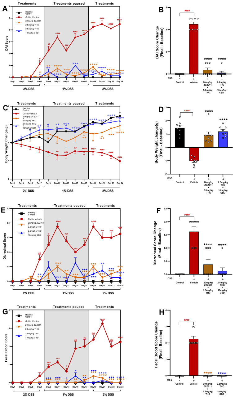Therapeutic effects of THC combined with ZCZ011 or CBD on DAI scores in chronic colitis. The figure illustrates the progression and modulation of DSS-induced colitis across different treatment groups. (A,B) Disease activity index (DAI) scores. (C,D) Body weight loss. (E,F) Diarrhoea scores. (G,H) Faecal blood scores. Data presented as mean ± SEM, with significant differences denoted as: # p < 0.05, ## p < 0.01, ### p < 0.001, #### p < 0.0001 compared to the healthy control; and * p < 0.05, ** p < 0.01, *** p < 0.001, **** p < 0.0001 compared to the vehicle group.