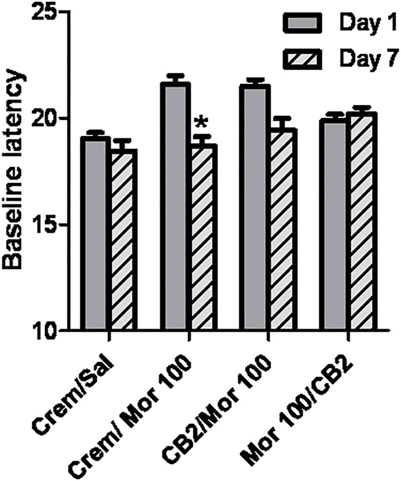 Effect of chronic dosing regimens on development of morphine hyperalgesia. X-axis: Agents administered during the 5 day chronic dosing regimen. Y-axis: Baseline latency to lift, lick, or shuffle hindpaw(s) on a 54°C hotplate prior to morphine antinociceptive testing. Each bar represents the mean (±S.E.M.) from eight mice. Solid grey bars represent baselines on Day 1, and hatched grey and black bars represent baselines in the same mice on Day 7 following a 5 day chronic dosing regimen. In groups that received morphine and O-1966 during the dosing regimen, drugs were given 15 min apart.