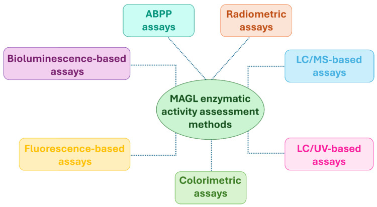 Biochemical methods for evaluating MAGL inhibitory activity.
