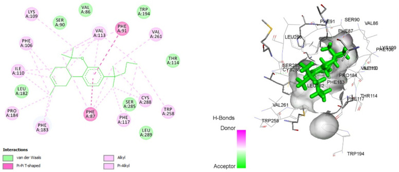 Two-dimensional and 3D interaction of JWH-133 with cannabinoid type-2 receptor (6KPC).