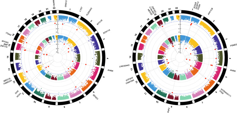 Circular Manhattan plots for CpGs associated with recent and cumulative marijuana use at Y15 and Y20.Recent and cumulative marijuana use association results correspond to the inner and outer circles at A Y15 and B Y20, respectively. The x-axis corresponds to epigenomic positions, and the y-axis shows the -log10 FDR. The horizontal dotted blue line denotes a significance threshold of FDR ≤ 0.05. The top 10 significant loci from each analysis are labeled in each plot.