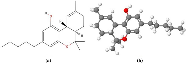 Structural representation of Δ9-tetrahydrocannabinol a structural arrangement b 3D- model of the structure