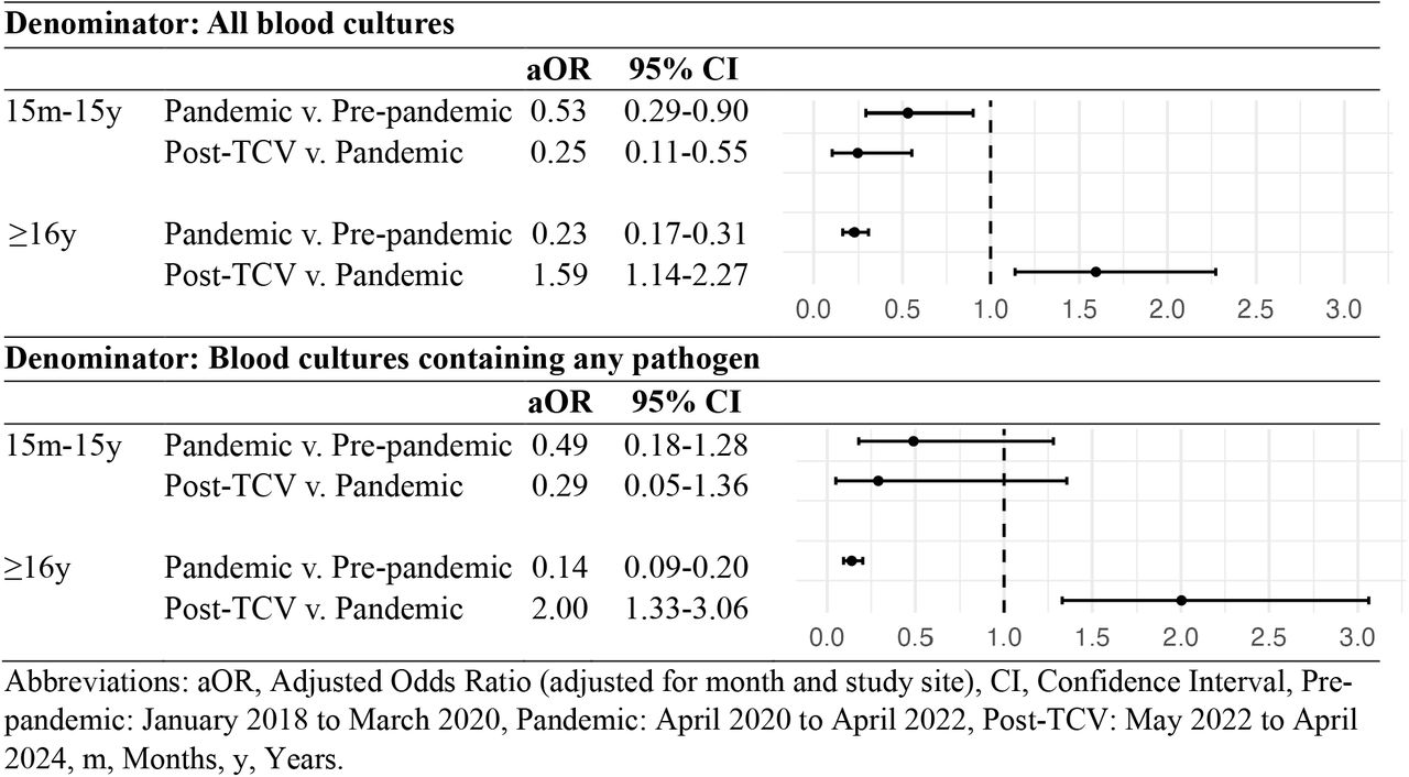 Multivariate logistic regression analysis of Salmonella Typhi blood culture positivity by study period and age group.