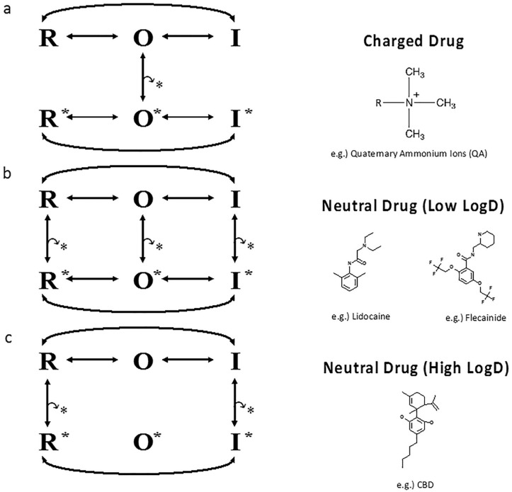 Proposed channel blocking scheme for an ultra-hydrophobic compound. Hypothesis for block by local anesthetics (LAs) (based on Hille 1977, 2001; Hondeghem and Katzung 1977). (a, b) The first two models are based on previous studies. (a) Voltage-gated sodium (Nav) states and transitions with charged drug molecules. Charged (hydrophilic) drug may come and go only while the gate is open. (b) Neutral (hydrophobic) drug can bind and unbind even if when the gate is closed. Therefore, two pathways exist for drug to reach its receptor in the pore. The hydrophilic pathway is closed when the gate is closed. (c) The third model is based on our results from our studies on CBD and Nav channels. The star indicates drug. We propose as the drug becomes more hydrophobic, its interaction with the channel transitions from only the open-state (O) to only interactions with rest (R) and inactivated (I) states.