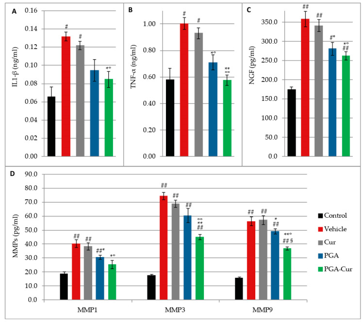Effect of PGA and curcumin (Cur) given individually or in a co-micronized formulation (PGA-Cur) on monoiodoacetate-induced increase in the serum level of cytokines (IL1-β, TNF-α), nerve growth factor (NGF), and metalloproteases (MMP1, 3, 9). Data are expressed as mean ± standard error of the mean (N = 10/group). # p < 0.05 and ## p < 0.0001 vs. control; *p < 0.05 and **p < 0.0001 vs. vehicle; °p < 0.05 and °°p < 0.0001 vs. Cur; § p < 0.0001 vs. PGA.
