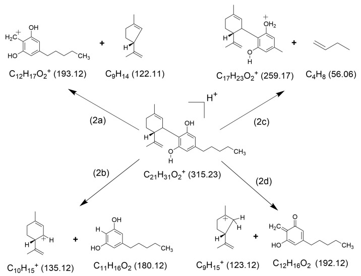 Suggested structures of the major ionic fragments and neutral counter-fragments (2a)–(2d) observed in HCD fragmentation of [CBD + H]+ (exact masses are given in parentheses). The pathways presented here follow those suggested by Broecker and Pragst [28].